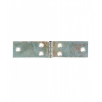BL CERNIERE LUNGHE P/FISSO MM.100 PZ.2