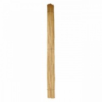 CANNA BAMBU D. 28/30 MM. CIRCA - H. MT 2,1