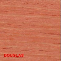 LIGNOTEX IMPREGNANTE DOUGLAS  0,75