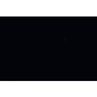 PLASTICA ADESIVA H45CM 20MT MAURER NERO OPACO