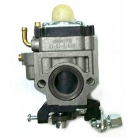 RIC.LINEA VERDE - DECESP. 99186 CARBURATORE P.6