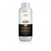Solvacid Detersolvente 1 lt - Geal