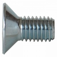 VITE TSP CON CAVA ESAGONALE M 10 X 20