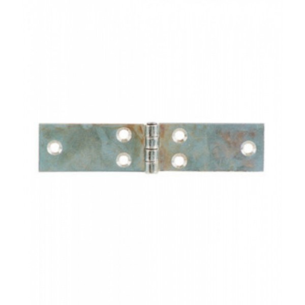 BL CERNIERE LUNGHE P/FISSO MM.100 PZ.2