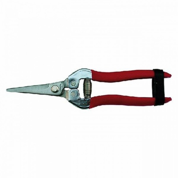 FORBICI COGLIAGRUMI CM 19      AG0202