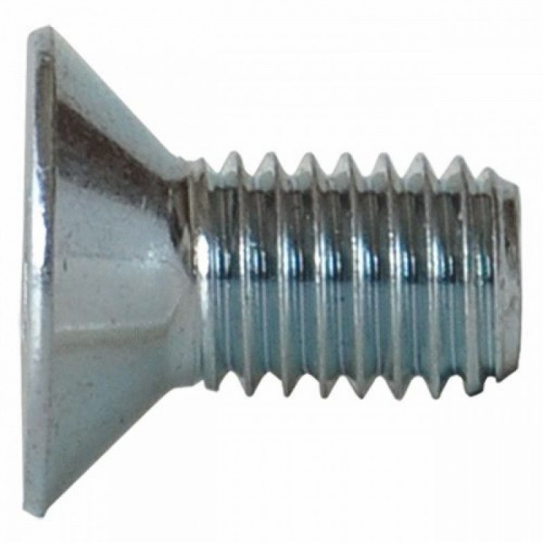 VITE TSP CON CAVA ESAGONALE M 10 X 20